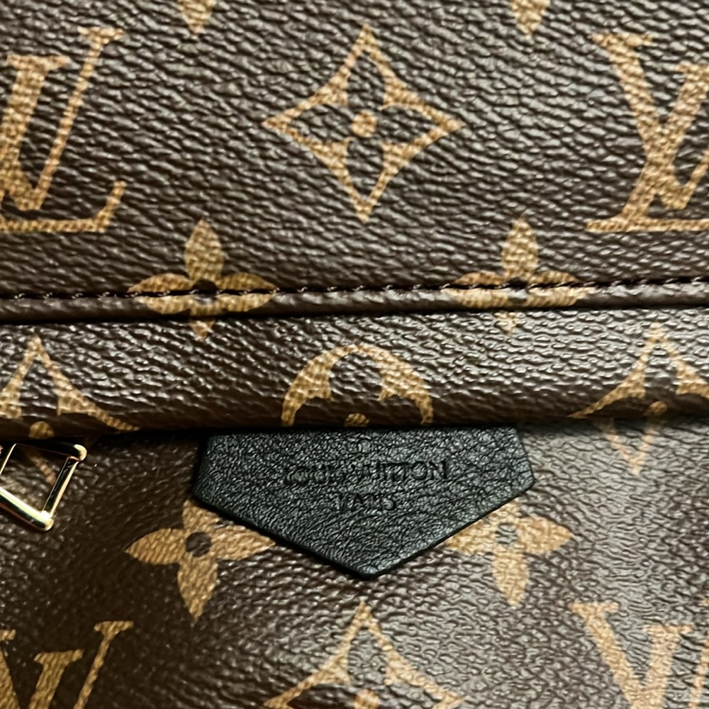 Louis Vuitton Palm Springs MM backpack - Picture 6 of 9
